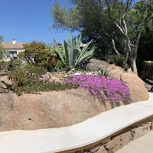https://lolivastro-1.in-sardinia.net
